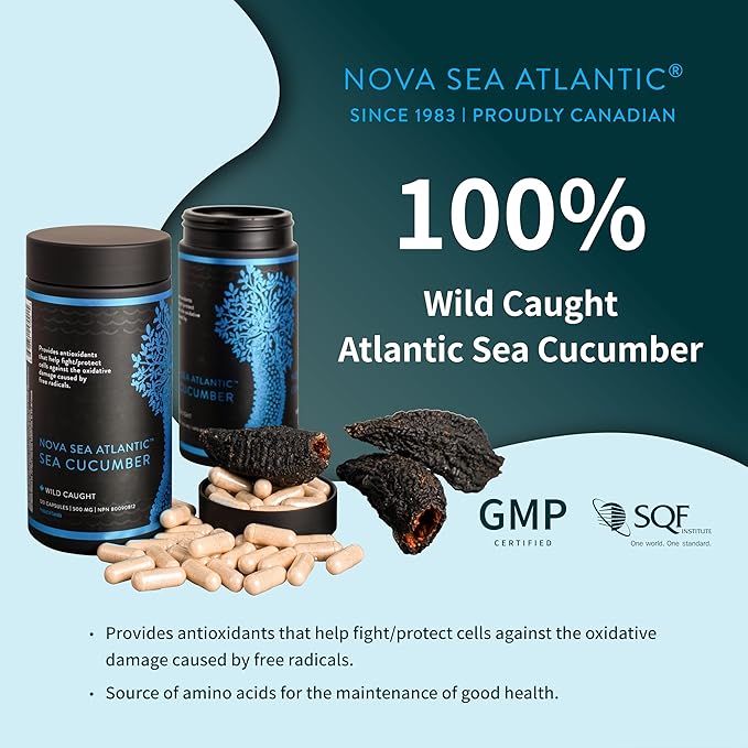 Nova Sea Atlantic Sea Cucumber 60 Capsules