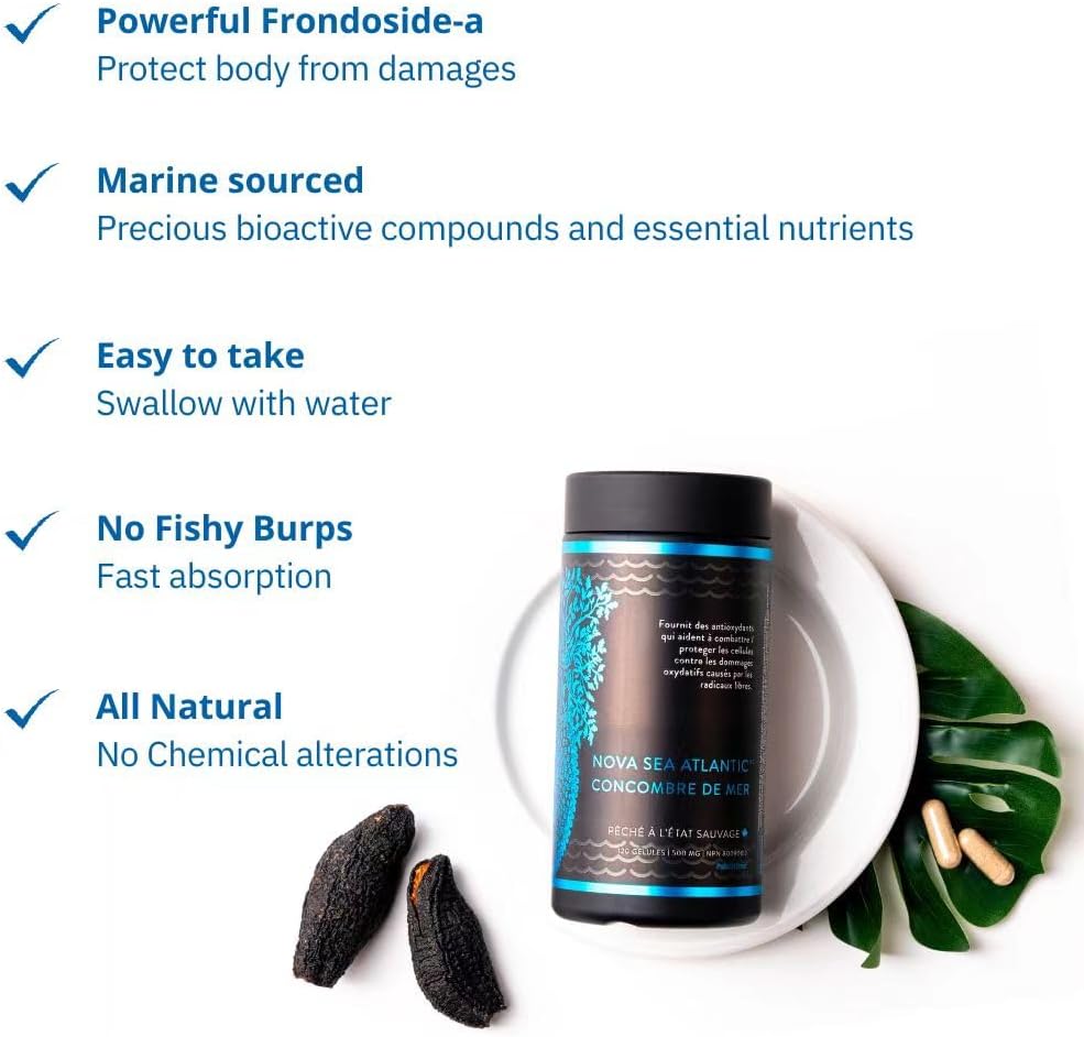 Nova Sea Atlantic Sea Cucumber 60 Capsules